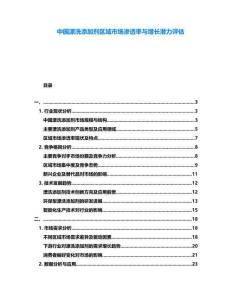 中国漂洗添加剂区域市场渗透率与增长潜力评估