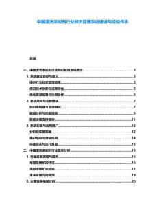 中国漂洗添加剂行业知识管理系统建设与经验传承