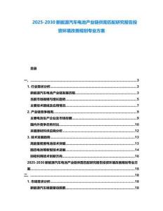 2025-2030新能源汽車電池產(chǎn)業(yè)鏈供需匹配研究報告投資環(huán)境改善規(guī)劃專業(yè)方案