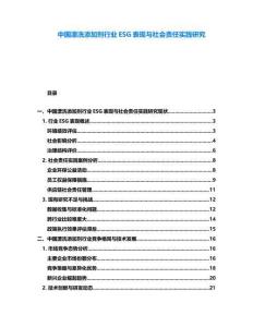 中国漂洗添加剂行业ESG表现与社会责任实践研究