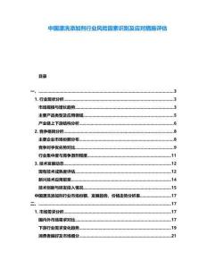 中国漂洗添加剂行业风险因素识别及应对措施评估