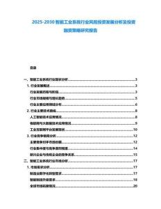 2025-2030智能工業(yè)系統(tǒng)行業(yè)風(fēng)險投資發(fā)展分析及投資融資策略研究報告