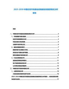 2025-2030中國征信市場基礎(chǔ)設(shè)施建設(shè)投融資模式分析報告