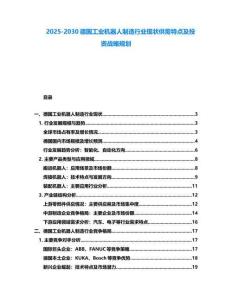 2025-2030德國工業機器人制造行業現狀供需特點及投資戰略規劃