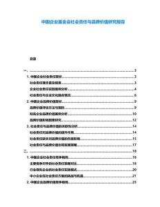 中国企业基金会社会责任与品牌价值研究报告