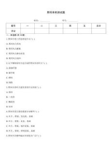 野风车的测试题