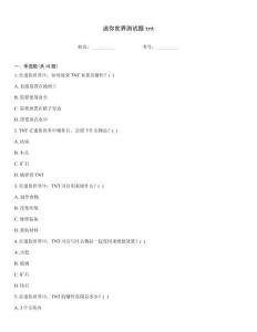 迷你世界測試題tnt