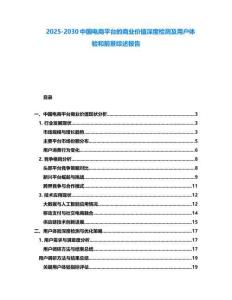 2025-2030中國電商平臺的商業價值深度檢測及用戶體驗和前景綜述報告