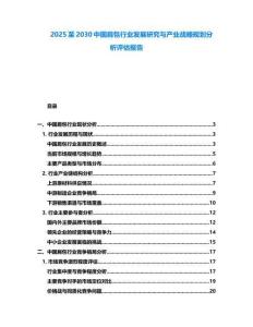 2025至2030中國肩包行業發展研究與產業戰略規劃分析評估報告