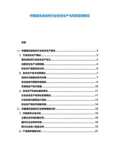 中國漂洗添加劑行業(yè)安全生產(chǎn)與風險管理報告