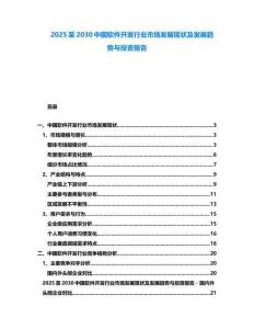 2025至2030中國軟件開發行業市場發展現狀及發展趨勢與投資報告