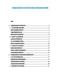 中国漂洗添加剂行业专利技术壁垒与创新突破方向前瞻