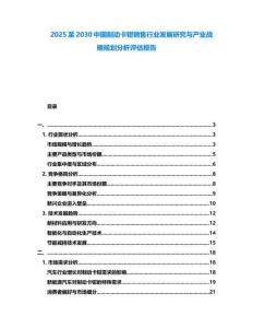 2025至2030中國制動卡鉗銷售行業(yè)發(fā)展研究與產(chǎn)業(yè)戰(zhàn)略規(guī)劃分析評估報(bào)告