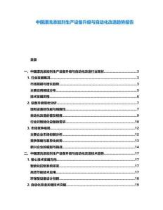 中國漂洗添加劑生產(chǎn)設備升級與自動化改造趨勢報告