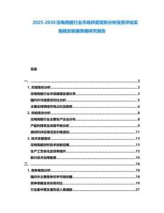 2025-2030壓電陶瓷行業(yè)市場供需現(xiàn)勢分析投資評估實施規(guī)劃發(fā)展策略研究報告