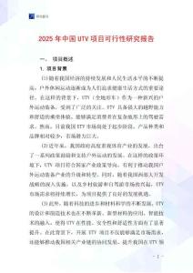 2025年中國UTV項目可行性研究報告