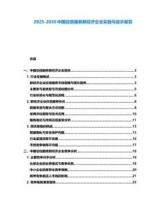 2025-2030中國征信服務新經濟企業實踐與啟示報告