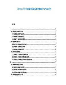 2025-2030征信行業技術創新投入產出分析