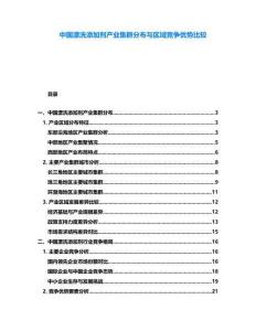 中國漂洗添加劑產業集群分布與區域競爭優勢比較