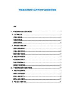 中國漂洗添加劑行業跨界合作與資源整合策略