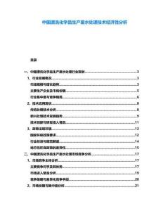 中國漂洗化學品生產廢水處理技術經濟性分析