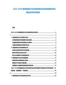 2025-2030智慧能源行业市场供需关系及投资前景评估规划分析研究报告