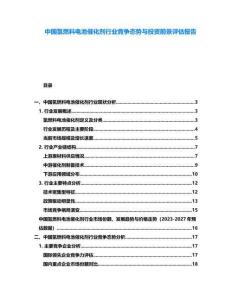 中国氢燃料电池催化剂行业竞争态势与投资前景评估报告