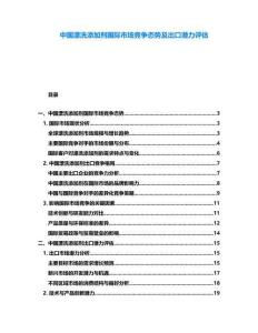中国漂洗添加剂国际市场竞争态势及出口潜力评估