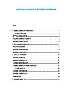中国漂洗助剂企业数字化转型案例与效能提升研究