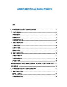 中国漂白增效剂在污水处理中的经济效益评估