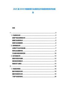 2025至2030中國原煤行業(yè)調(diào)研及市場前景預(yù)測評估報告