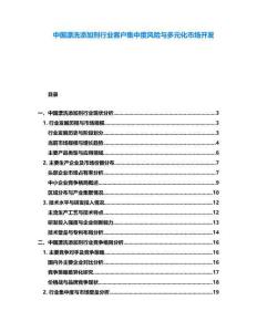 中国漂洗添加剂行业客户集中度风险与多元化市场开发
