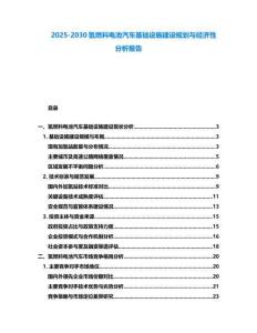2025-2030氫燃料電池汽車基礎設施建設規劃與經濟性分析報告