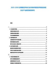 2025-2030玉鐲鑒定評估行業市場供需現狀考察及珠寶玉石產業規范規劃研究