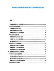 中国漂洗添加剂行业环保标准与可持续发展潜力评估