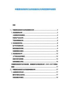 中國漂洗添加劑行業供應鏈優化與風險管理評估報告