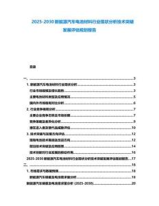 2025-2030新能源汽车电池材料行业现状分析技术突破发展评估规划报告