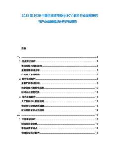 2025至2030中國供應鏈可視化(SCV)軟件行業發展研究與產業戰略規劃分析評估報告