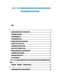 2025-2030法国先进燃料电池行业市场分析现状供给评估及投资规划分析研究报告