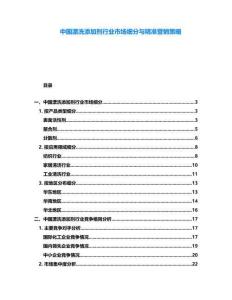 中國漂洗添加劑行業市場細分與精準營銷策略