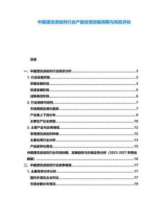 中國漂洗添加劑行業產能投資回報周期與風險評估