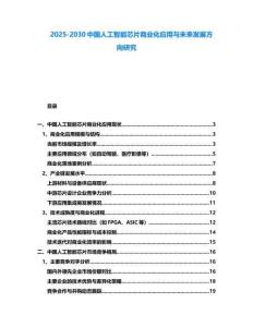 2025-2030中國(guó)人工智能芯片商業(yè)化應(yīng)用與未來發(fā)展方向研究