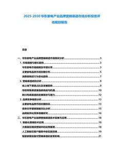 2025-2030華東家電產業品牌營銷渠道市場分析投資評估規劃報告