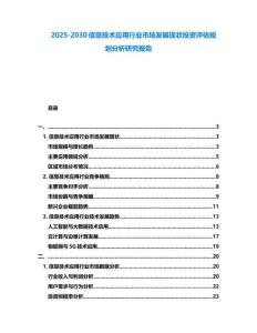 2025-2030信息技术应用行业市场发展现状投资评估规划分析研究报告