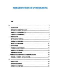 中國(guó)漂洗添加劑環(huán)保技術(shù)升級(jí)與可持續(xù)發(fā)展戰(zhàn)略評(píng)估
