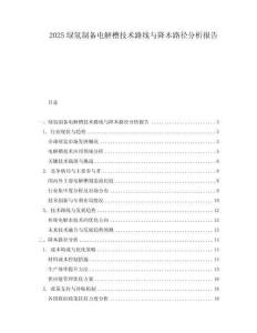 2025綠氫制備電解槽技術(shù)路線與降本路徑分析報告