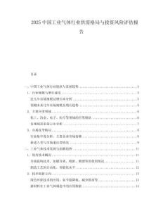 2025中國工業氣體行業供需格局與投資風險評估報告