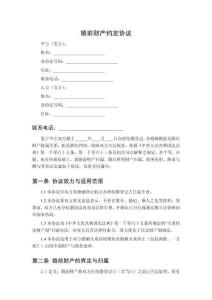 婚前財(cái)產(chǎn)約定協(xié)議