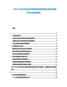 2025-2030分布式光伏發電系統設備研發企業技術突破與產業化路徑規劃