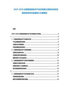 2025-2030立陶宛信息技術產業市場潛力深度分析及創新投資布局與發展核心方案報告